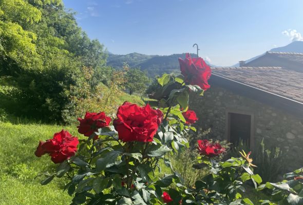 Antico Borgo - Appartement Leccino