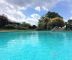 Blick auf den Pool und die großzügige Liegewiese - Appartement Emanuela - Gardasee