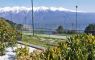 Schöne Ferienwohnung am Gardasee buchen/mieten - Urlaub in Italien mit Hund - Nr. 106