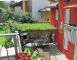 Schöne Ferienwohnung am Gardasee mieten - GARDEN in der Stadt