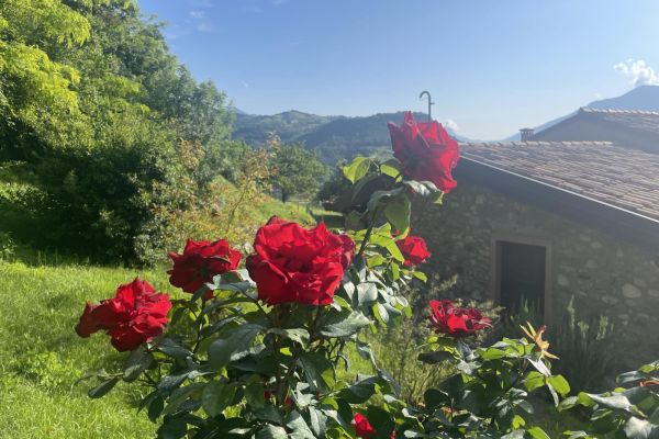APARTMENT LECCINO - CASA ANTICO BORGO PRABIÙ Tignale