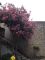 Corte Fabrizio im historischen Zentrum von Tignale mit Terrasse und Garten