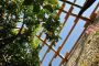 Appartement Casaliva by Gardaseeappartements