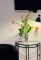 Appartement Leccino-Antico Borgo Prabiu