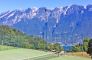 Schöne Ferienwohnung am Gardasee buchen/mieten - Urlaub in Italien mit Hund - Nr. 106
